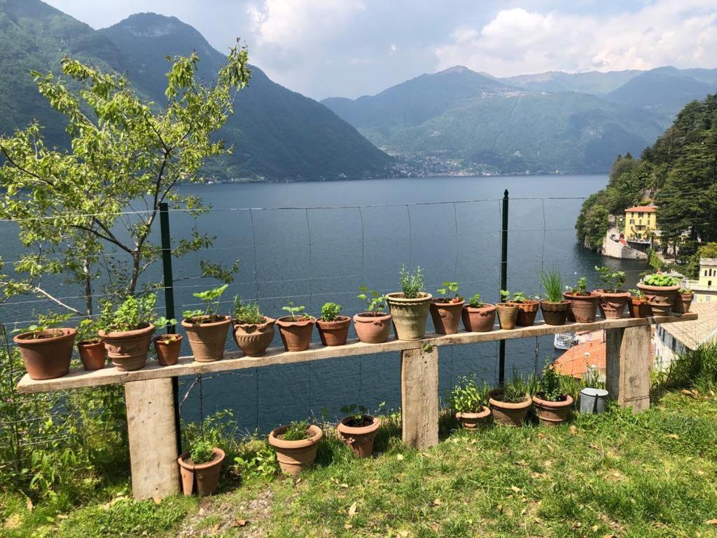 Gli Orti Della Civera " Cottagecore" Amazing View Nesso Bagian luar foto
