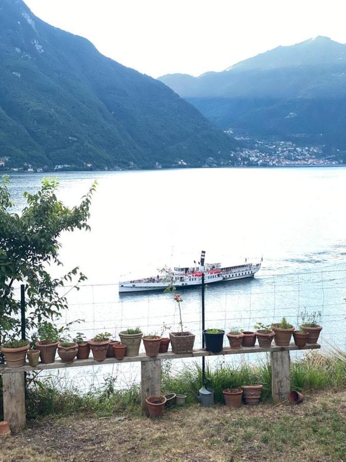Gli Orti Della Civera " Cottagecore" Amazing View Nesso Bagian luar foto